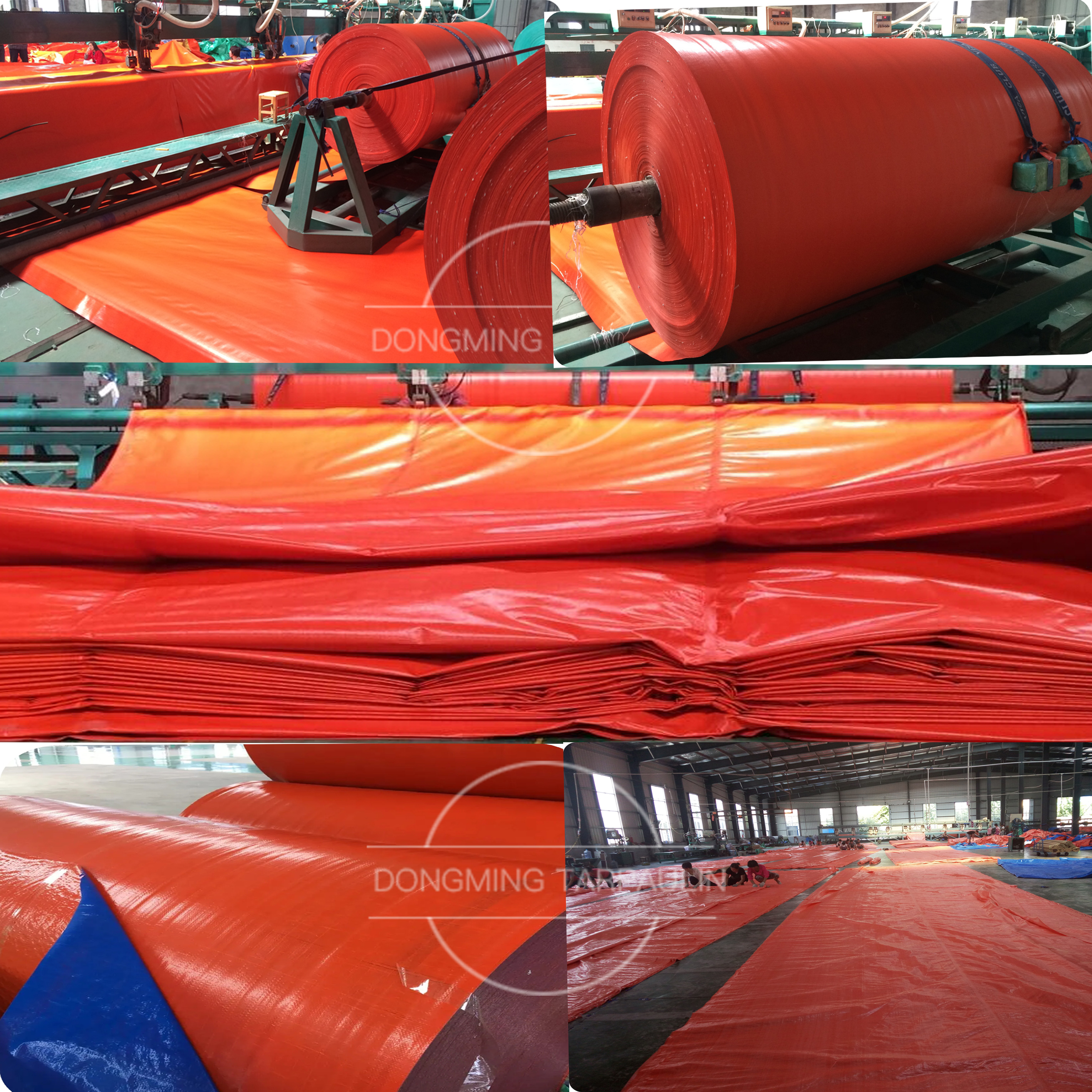 Orange Tarps.jpg