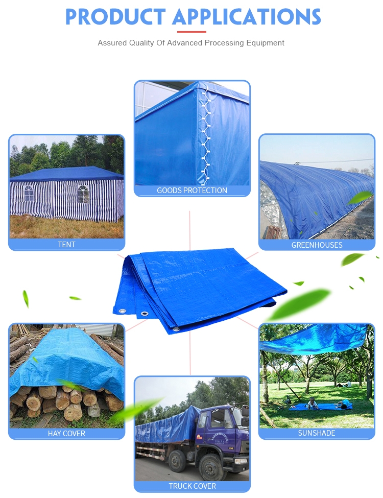 Blue orange (4)_副本2.jpg