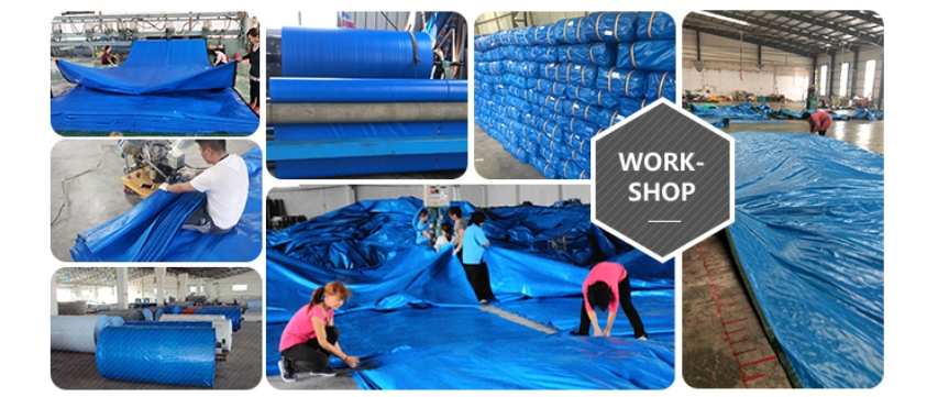 Dongming tarpaulins (4).jpg