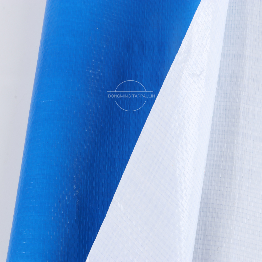 bluewhite (8)12.jpg