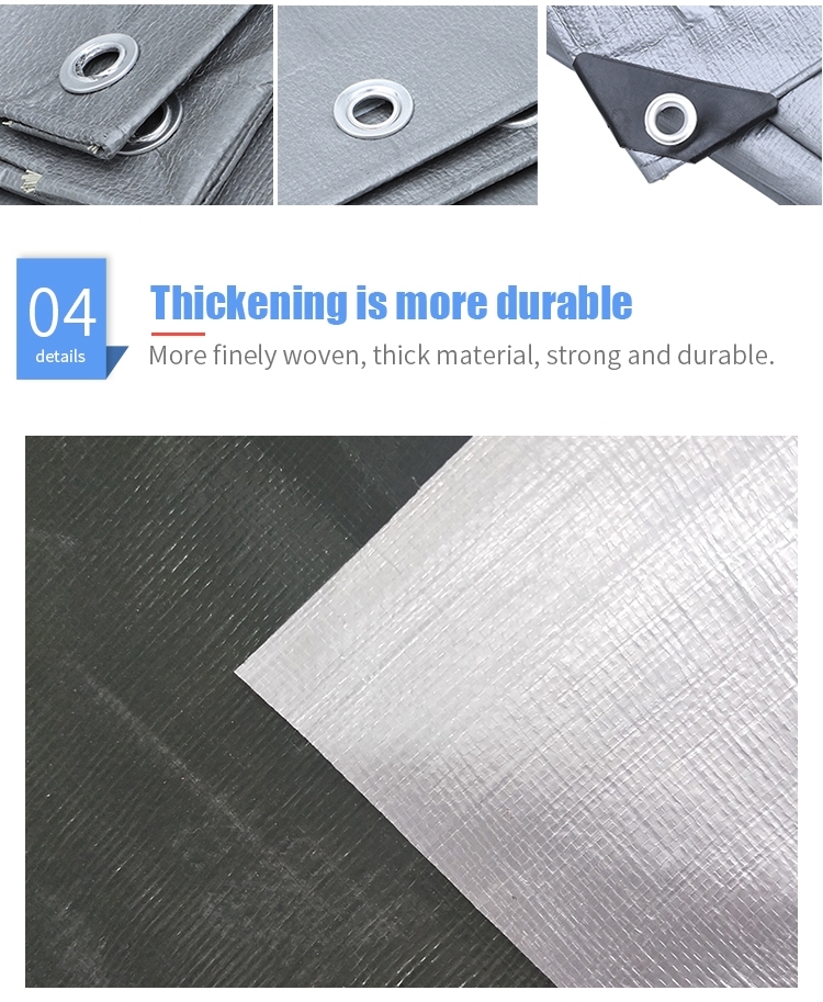 silver (12)_副本_副本.jpg