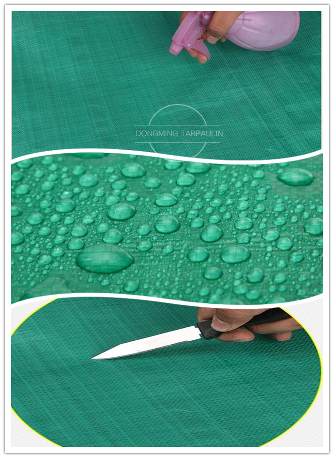 Green (4)78.jpg