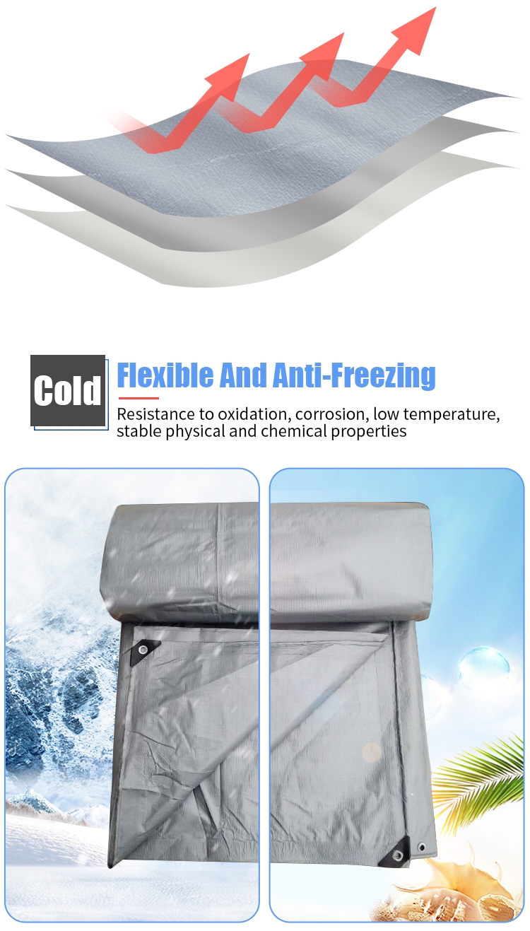 silver (10)_副本1.jpg