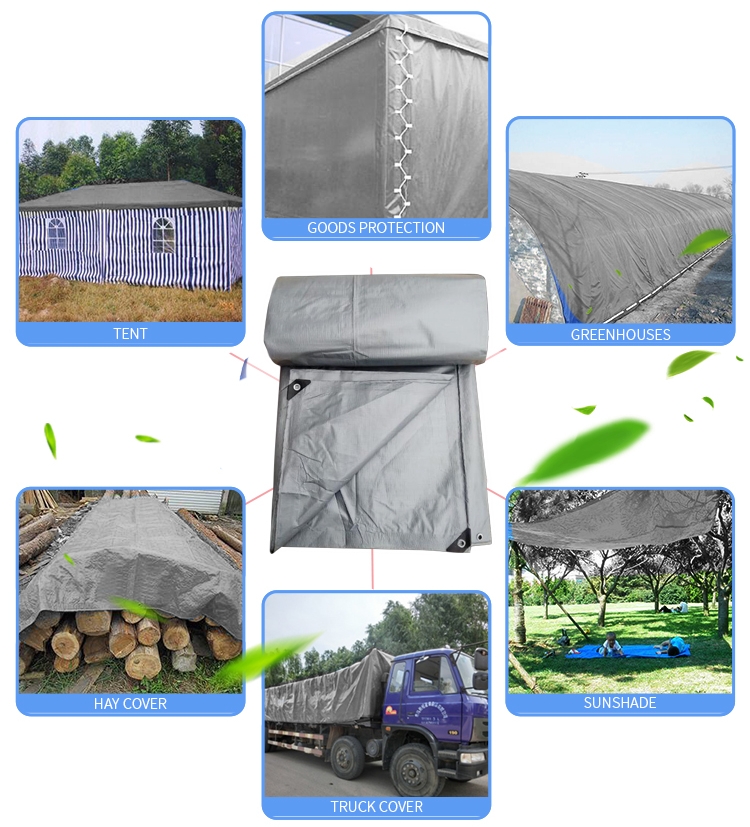 silver (12)_副本12.jpg